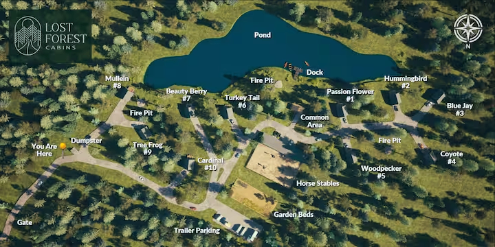 Lost Forest Cabins Location Map